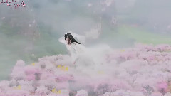 杨幂 - 夜华苏醒寻挚爱十里桃林重聚首