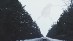 Артем Пивоваров - Кислород