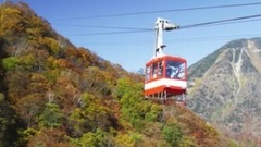 风景 - Autumn Stream