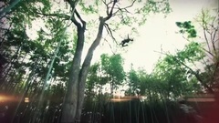 谭维维 - 爱到底