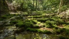 风景,欧美达人,音乐短片 - 捷克的自然风景