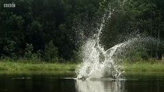 音乐短片 - 老鹰之歌