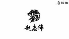 赵志伟 - 轮回