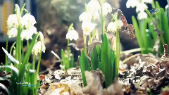 New - Goodbye Winter, Welcome Spring