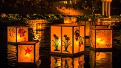 音乐短片 - 治愈身心的和风音乐合集