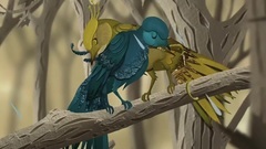 音乐短片 - BIRDY