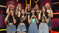 TWICE - 疯兔系列