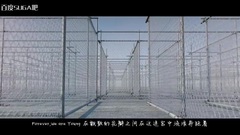 SUGA(防弹少年团) - Young Forever