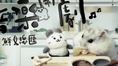 音乐短片,萌宠 - 仓鼠人音乐闹剧之鲜鱼总汇