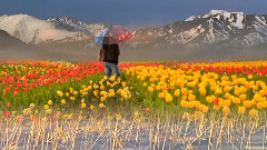 音乐短片 - Наталья Бучинская ЛЮБИ МЕНЯ ТАК