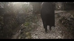 From the Ashes