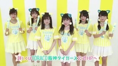 AKB48,NMB48 - NMB48 可愛くタイガースを応援! TORACO!