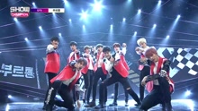 SF9 - Roar