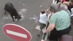 音乐短片 - Touradas E Marradas 2010