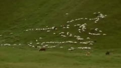 音乐短片 - Mival Mivyvebi