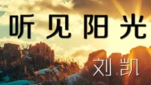  - 刘凯【听见阳光】20170315期