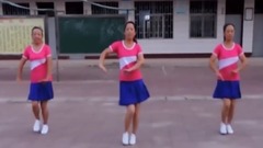 舞蹈视频 - 广场舞火辣辣的山里红