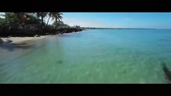 Hoy
