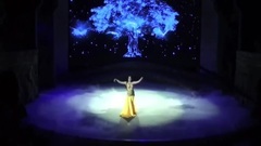 音乐短片 - 肚皮舞西域风情舞370