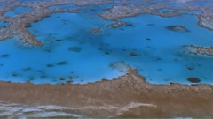 音乐短片 - 澳大利亚国家公园(Wonders of Australia):滨海的珍宝(2/3)