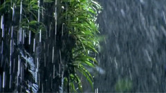 音乐短片 - 澳大利亚国家公园(Wonders of Australia):高山的奇迹(3/3)