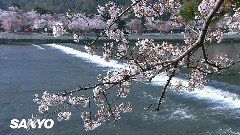 音乐短片 - Color of the Kyoto