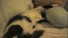 音乐短片 - kedi dogumu gümüş