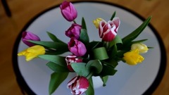 音乐短片 - Что делали цветы 8 Марта