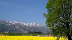 华语群星,风景,音乐短片,乐动城市 - 似水已流年,转身堪回首