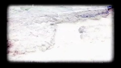 徐佳莹 - 徐佳莹 - 突然好想你