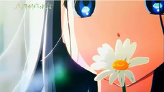 动漫专属 - 【治愈系】遇见你无悔.