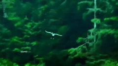 Leo Rojas - We are free
