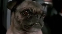 音乐短片 - Funny Videos 2017  Funny Fail Compilation 2017 #214