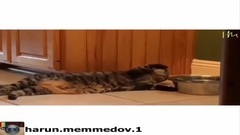 音乐短片 - Harun Memmedov 2015