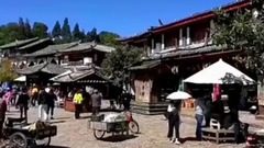 夏天播放 - 音乐短片