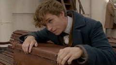 Eddie Redmayne - 《神奇动物在哪里》