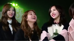 Sana(Twice) - Sana cut