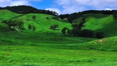 音乐短片 - Remembering Me  S.E.N.S.