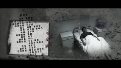 王婧 - 无声岁月