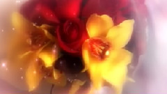 音乐短片 - Нежность