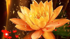 音乐短片 - ЗА ТЕБЯ