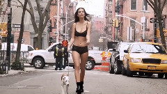欧美群星,风景,欧美达人,音乐短片 - 来自美国的Dkny