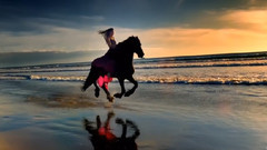 音乐短片 - 骏马奔驰