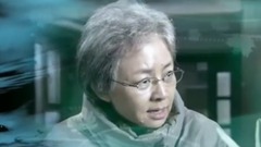 王铮亮 - 我们彼此错过的年华