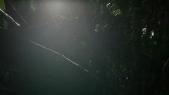 音乐短片 - The Most Beautiful And Crazy Video