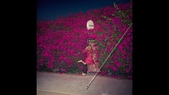 Feist - Pleasure