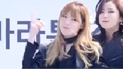 Hello Venus - 要喝茶吗