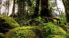 音乐短片 - I Love You