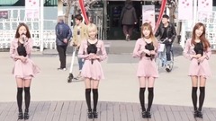 Melody Day - 看起来很忙