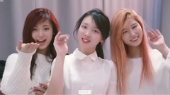 TWICE - 可爱担当兔牙安利向